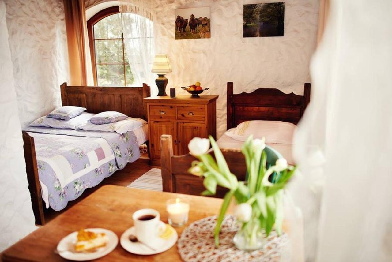 Ciche Wody Villa Budry Habitación foto